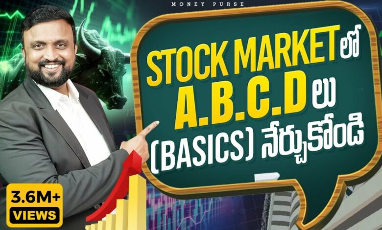 Stock Market Basics