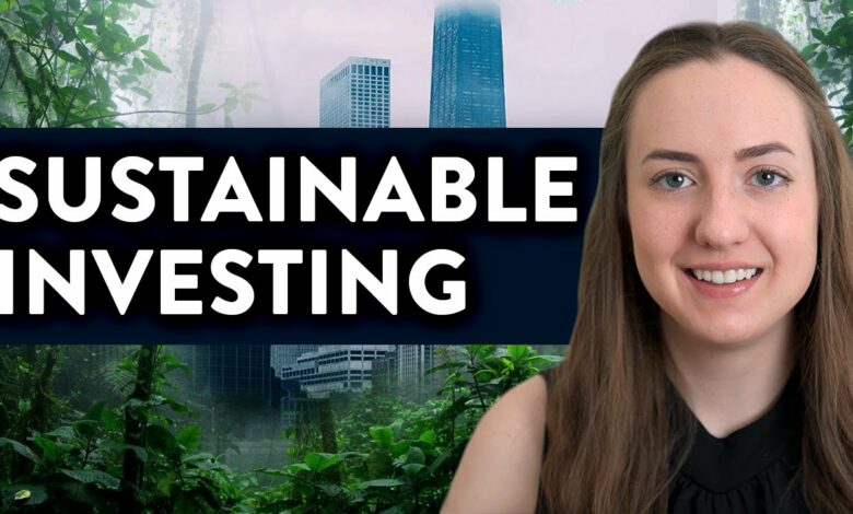 Sustainable and Ethical Investing