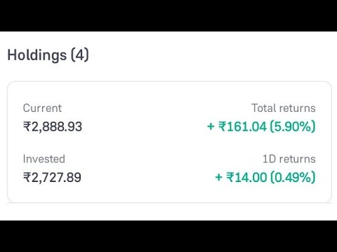 Investment Portfolio Growth