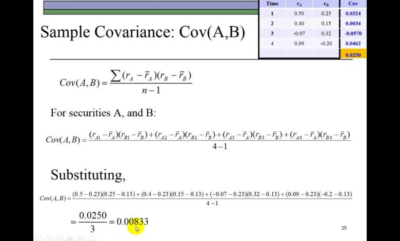 Investment Risk Management