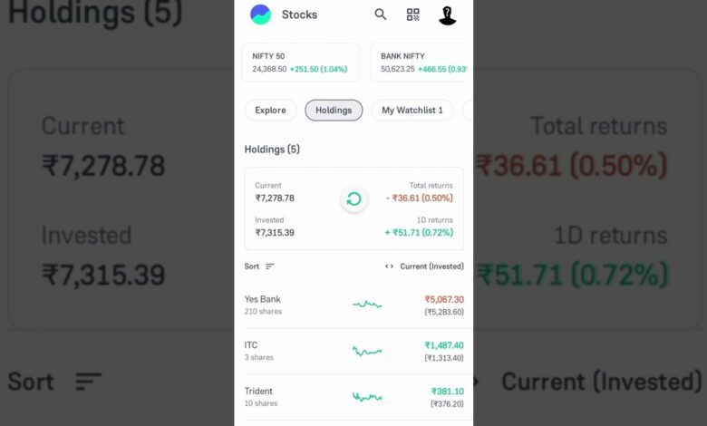 Investment Portfolio Growth