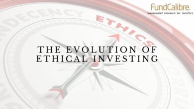 Sustainable and Ethical Investing